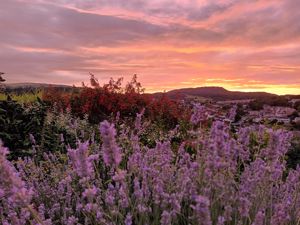 Photo 28- click for photo gallery